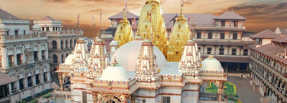 Vadtal Dham Cover Image